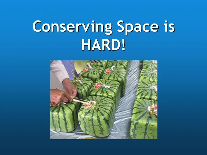 a row of square watermellons