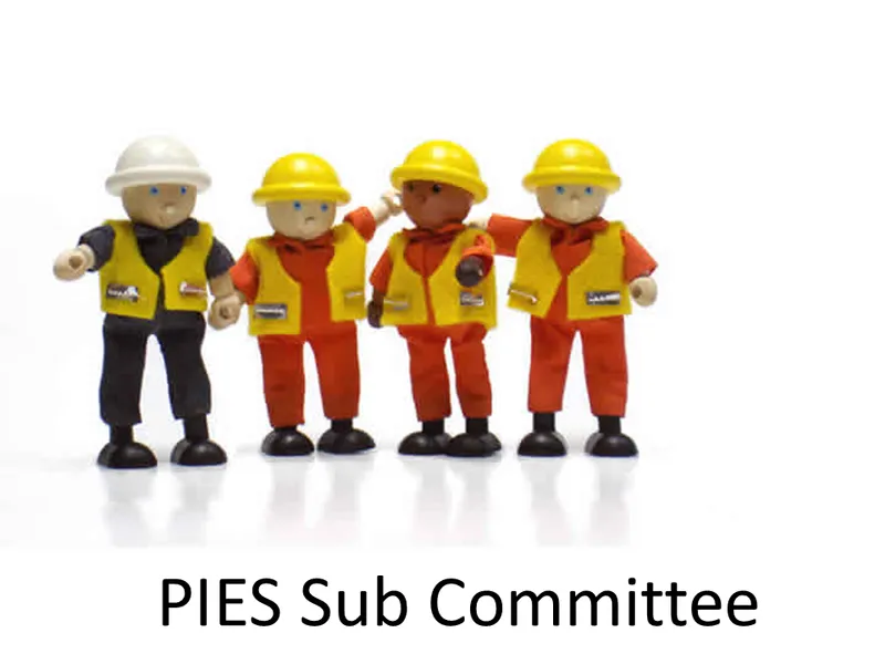 pies sub-committee